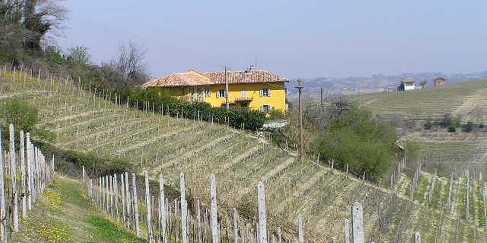 
			The house and its surrounding vineyards
			