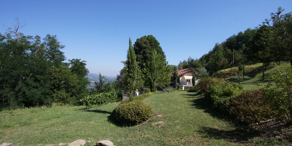 
			The beautiful terraced garden has plenty of space for a swimming pool
			